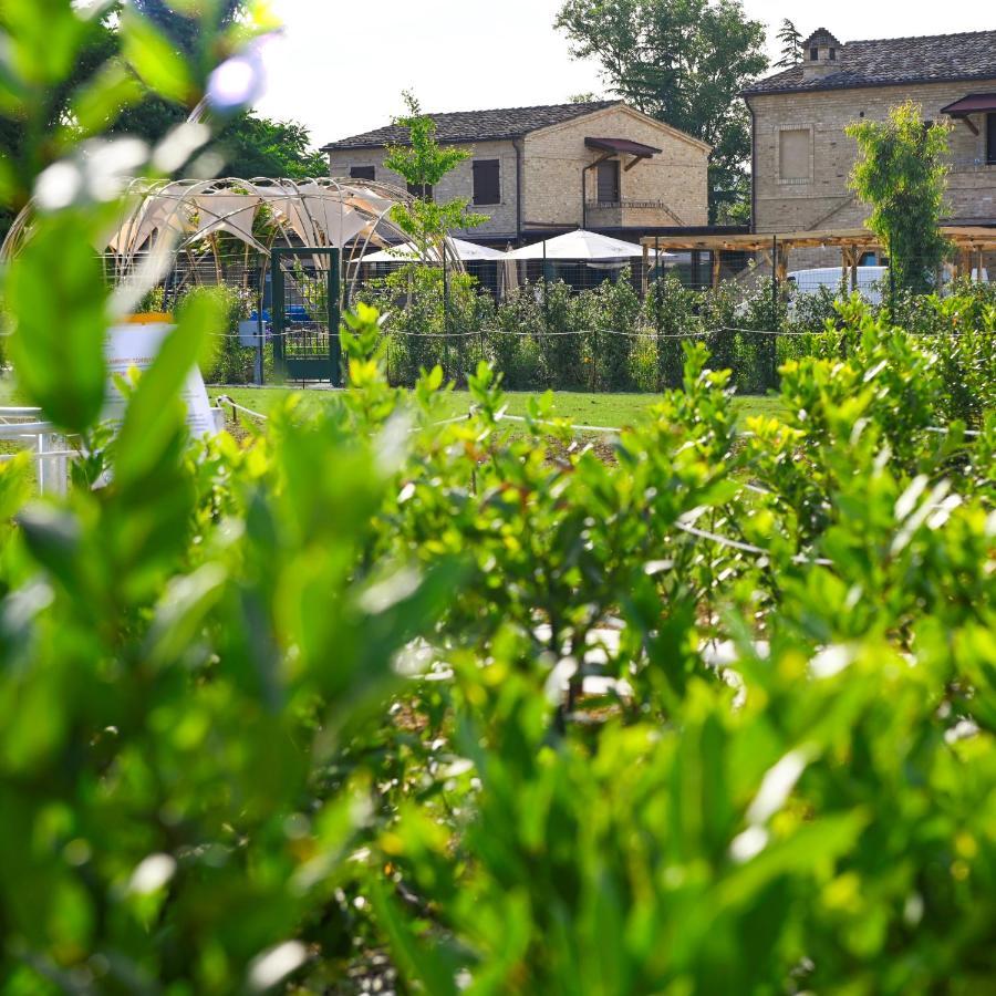 Moretti Village - Sophie Rooms Country House 西维尔诺瓦·马尔凯 外观 照片