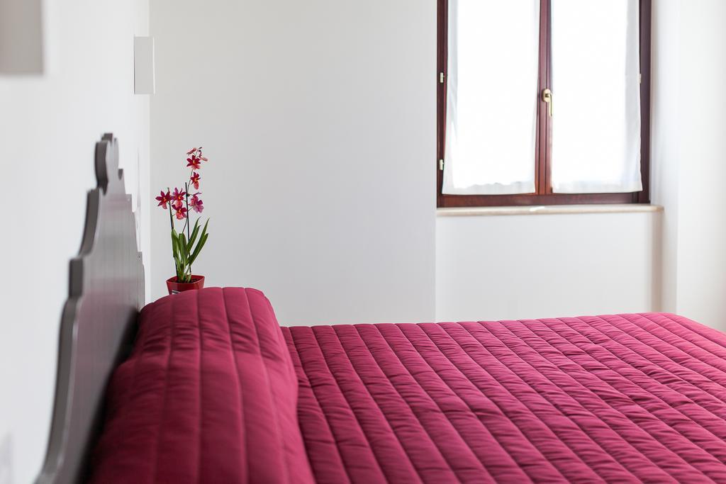 Moretti Village - Sophie Rooms Country House 西维尔诺瓦·马尔凯 外观 照片